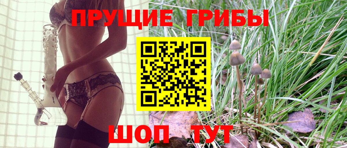 Галлюциногенные грибы Psilocybe Воронеж
